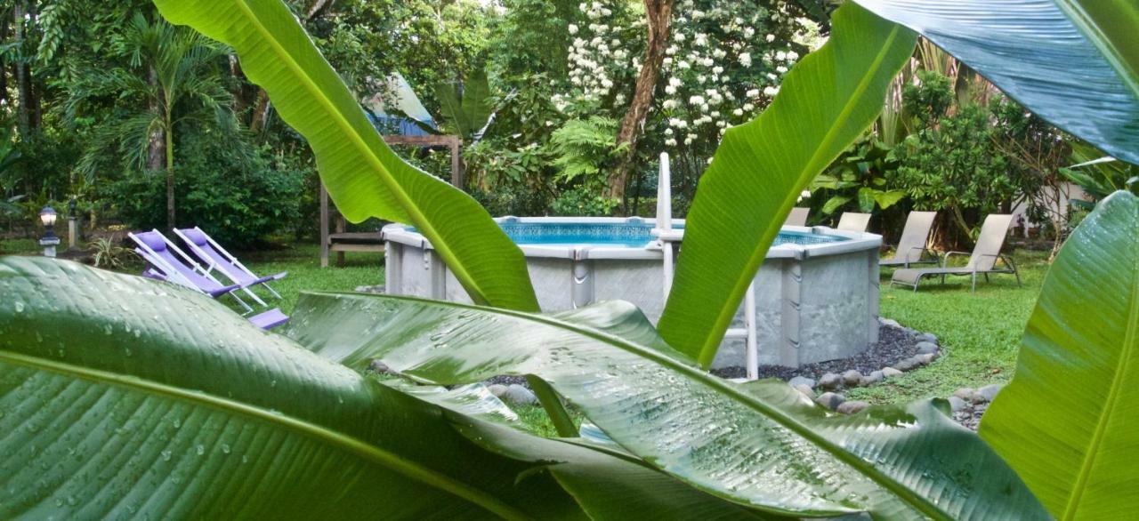 Naturalmente Boutique Bungalows Y Cocina Mediterranea Las Lajas  Exterior photo